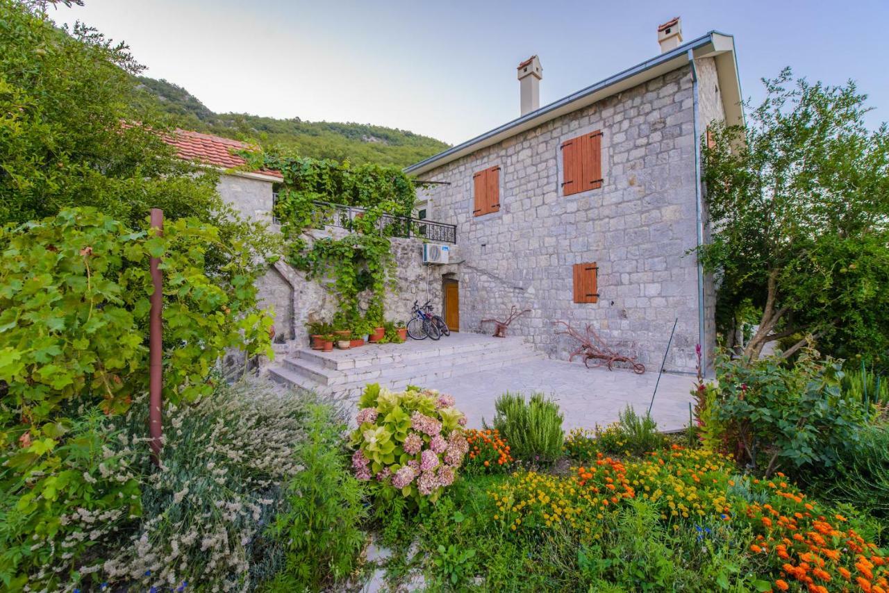 Mediteraneo Villa Kaluderovici エクステリア 写真