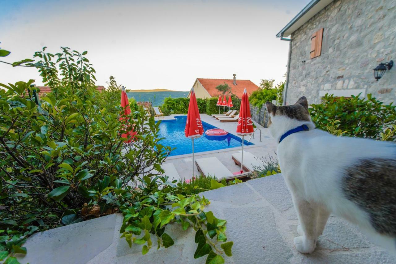 Mediteraneo Villa Kaluderovici エクステリア 写真